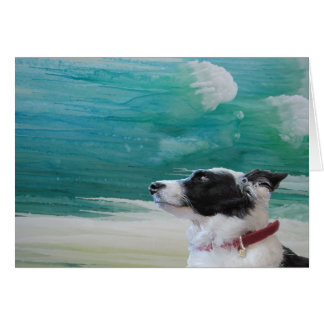 icybluebordercollie