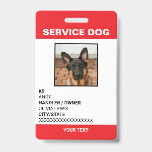ID de la foto del perro del servicio de tarjetas A