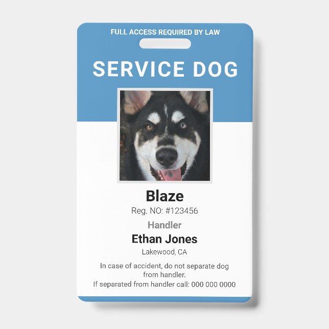 Identificación Tarjeta azul de foto de perro de servicio (Parte frontal)