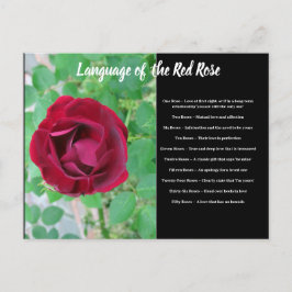 Idioma de la postal Rosa