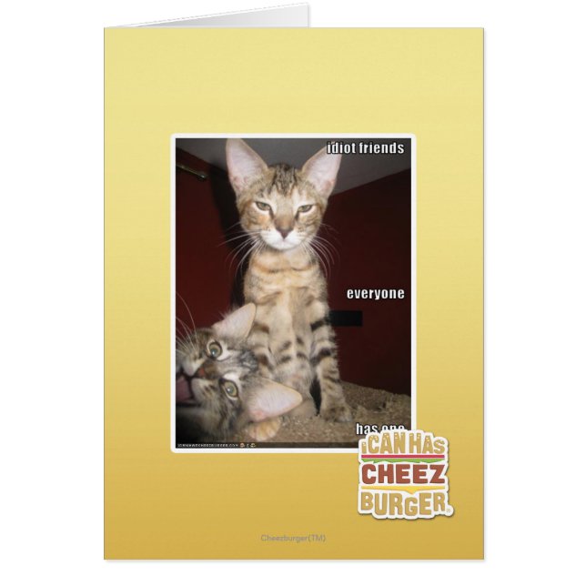 Idiotas amigos (Frente)