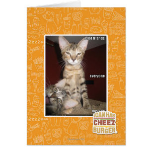 Idiotas amigos