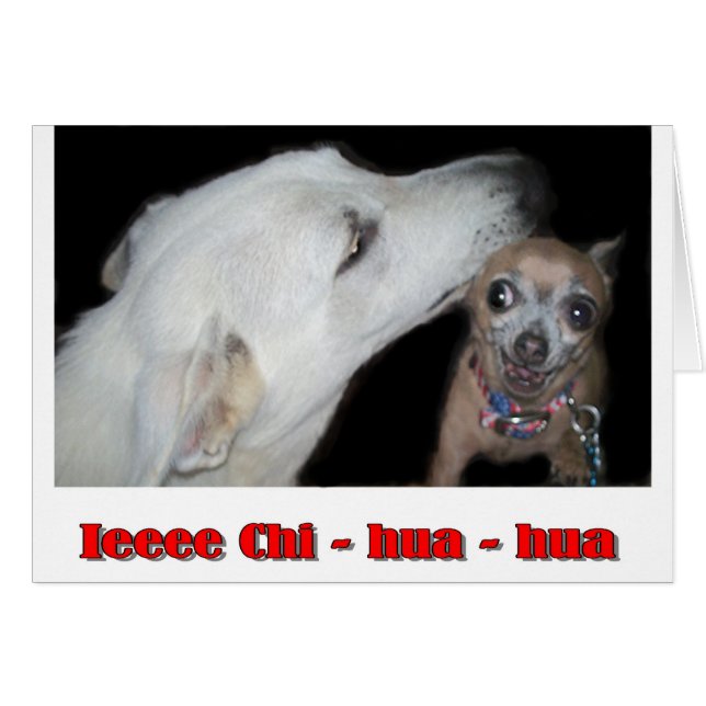 Ieee Chi hua hua (Anverso (Horizontal))