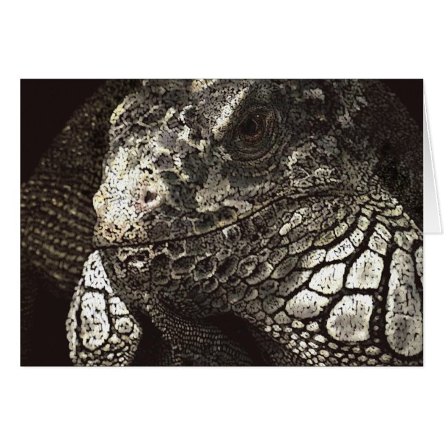 Iguana (Anverso (Horizontal))