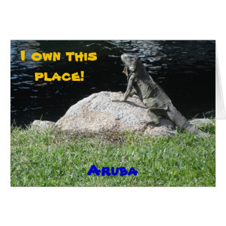 Iguana, Aruba
