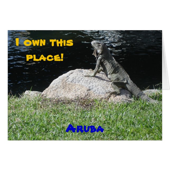 Iguana, Aruba (Anverso (Horizontal))