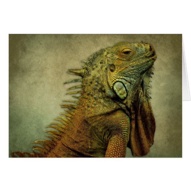 Iguana verde (Anverso (Horizontal))