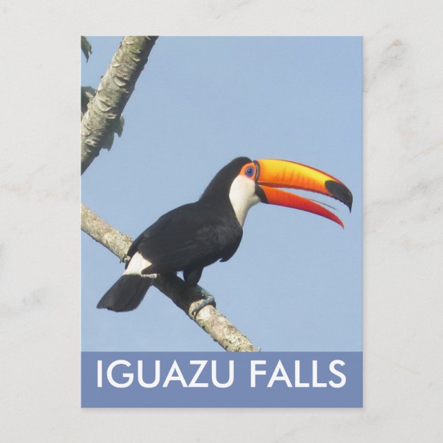 Iguazu cae postal Toco Toucan (Anverso)