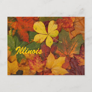 Illinois Autumn deja su postal