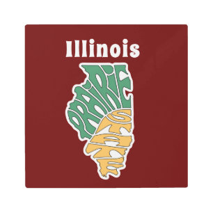 Illinois Nickname Arte Pared Metalizado