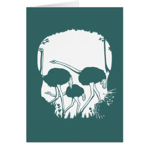 Ilusión del cráneo de la avestruz