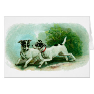 Ilustracion antiguo del fox terrier