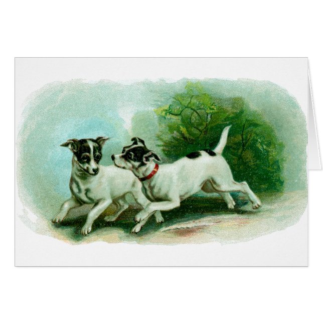 Ilustracion antiguo del fox terrier (Anverso (Horizontal))