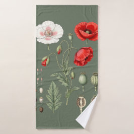 Ilustración botánica arte floral.