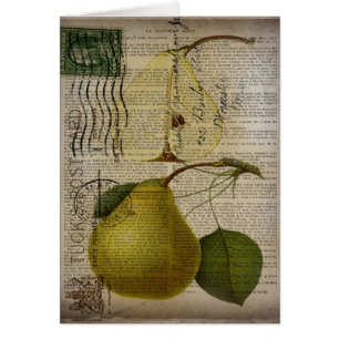 ilustracion botánico francés pera vintage