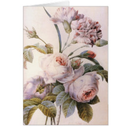 ilustracion botánico vintage, rosa rosado