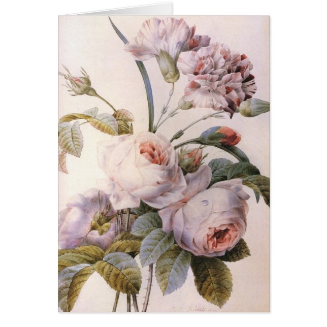 ilustracion botánico vintage, rosa rosado (Frente)