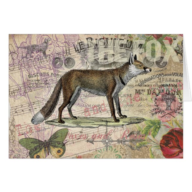 Ilustracion de animales de la vida silvestre Fox (Anverso (Horizontal))