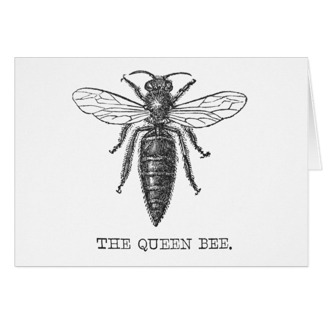 Ilustracion de antigüedades de insectos de Queen B (Anverso (Horizontal))