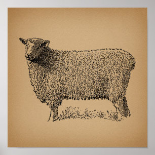 Ilustracion de Arte de Oveja Clásico Animal de gra