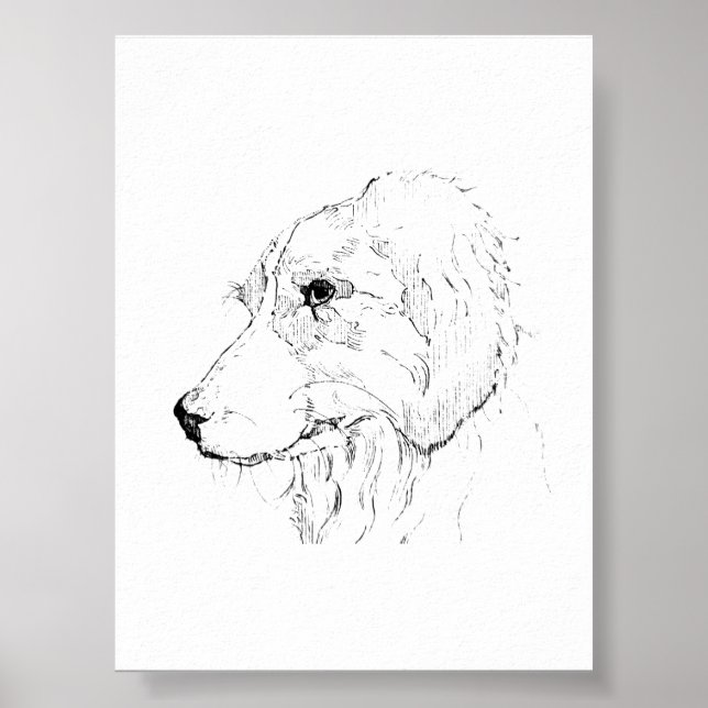 Ilustración de Border Collie – Arte Minimalista (Frente)