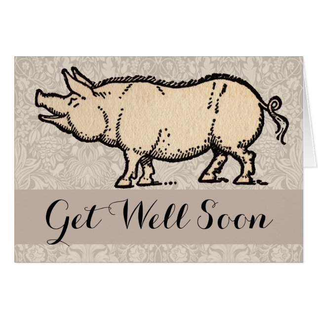 Ilustracion de época de cerda de cerdo (Anverso (Horizontal))