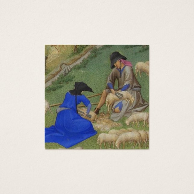Ilustracion de esquilación de ovejas medievales (Anverso)