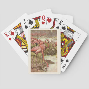 Ilustración de flamencos rosados vintage en cartas