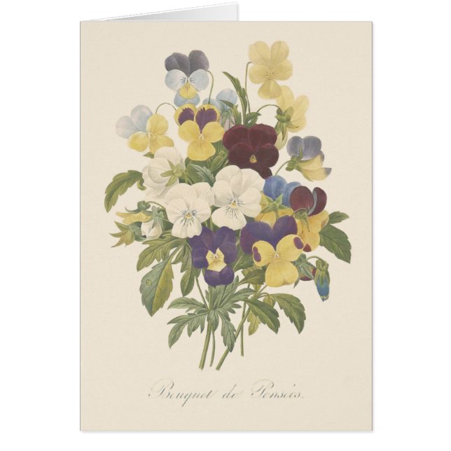 Ilustracion de flores Bouquet Pansy Pansies (Frente)