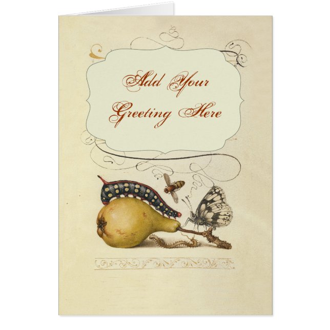 Ilustracion de insectos de fruta de mariposa de ab (Frente)
