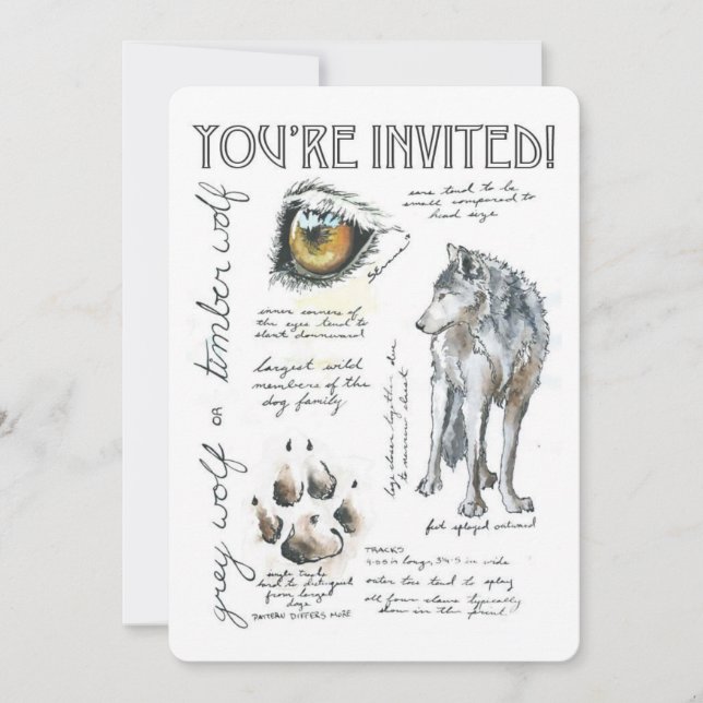 Ilustración de Invitación de Lobo Canis Lupus (Anverso)