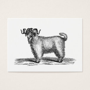 Ilustracion de la cabra del angora del vintage -