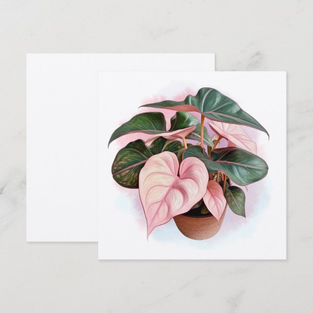 Ilustracion de la princesa rosa Philodendron (Anverso / Reverso)