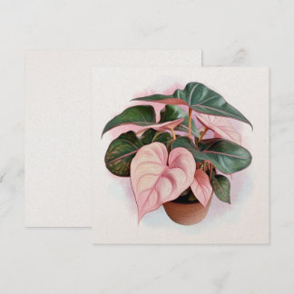 Ilustracion de la princesa rosa Philodendron
