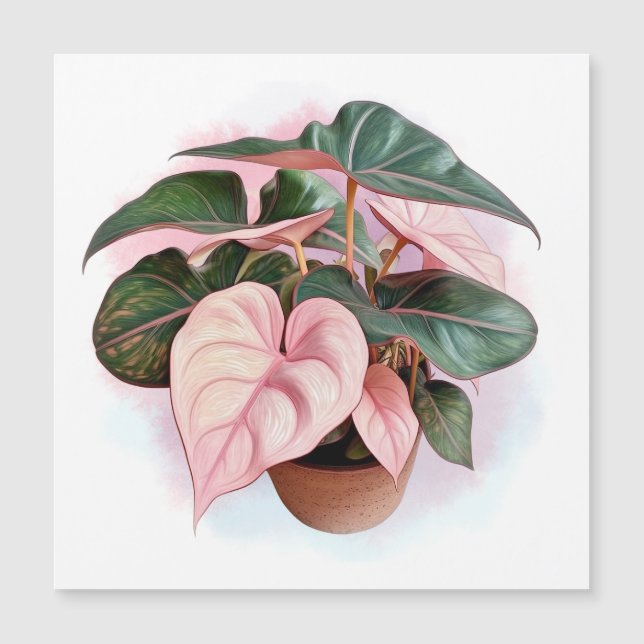 Ilustracion de la princesa rosa Philodendron (Anverso)