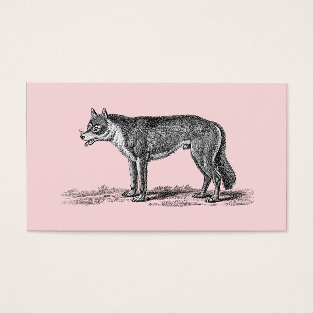 Ilustracion de lobos vintage - Plantilla de lobos  (Frente)