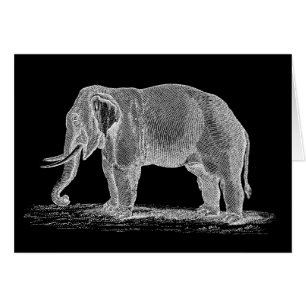 Ilustracion de los 1800s del vintage del elefante