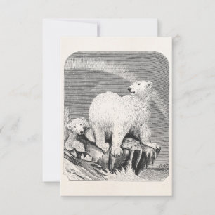 Ilustracion de Osos Árticos Vintage Polar del sigl