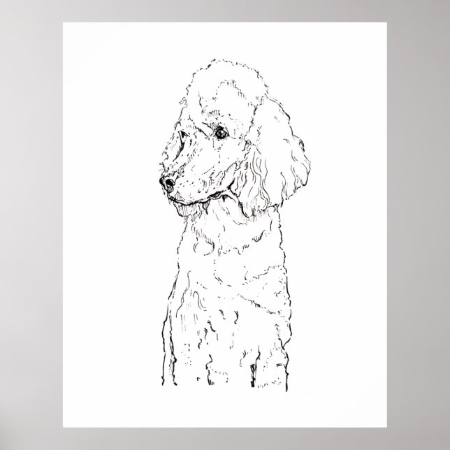 Ilustración de perro Caniche estándar - Arte de ti (Frente)