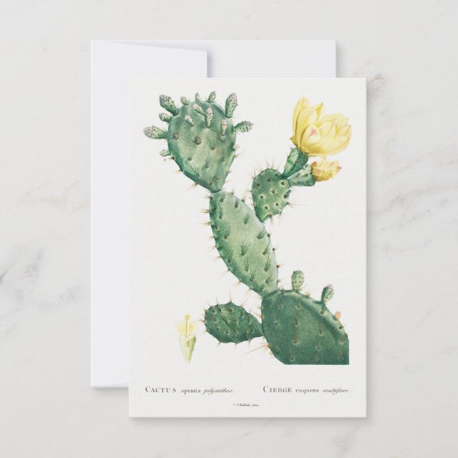 Ilustracion de planta de cosecha (Anverso)