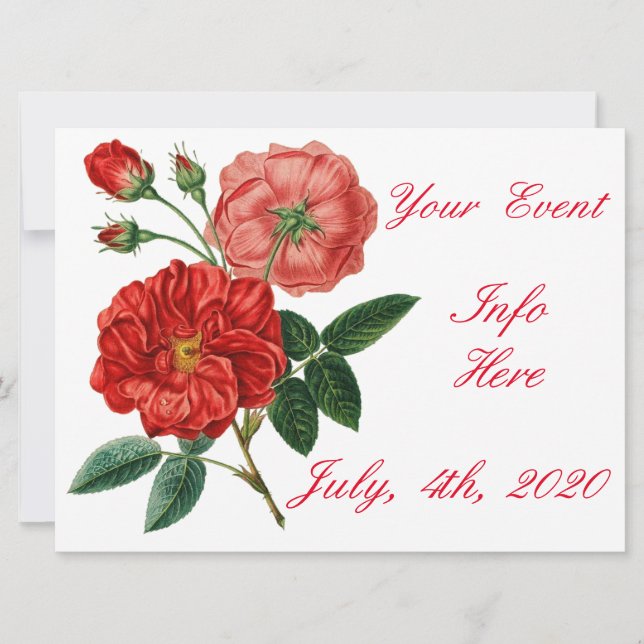 Ilustracion de rosa roja vintage Thunder_Cove (Anverso)