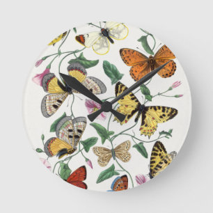 Ilustracion de Vintage de mariposa de Reloj acríli