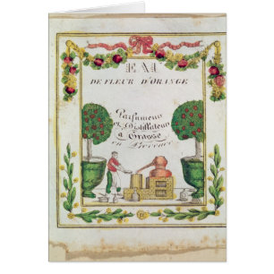 Ilustración del 'd'Orange de Eau de Fleur