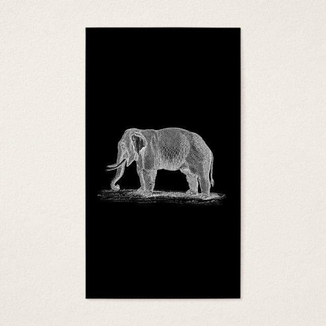 Ilustracion del Elephant Blanco Vintage de los año (Frente)