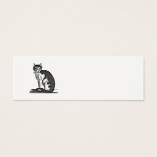 Ilustracion del gato de casa de los 1800s del
