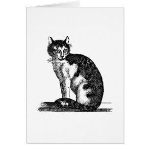 Ilustracion del gato de casa de los 1800s del