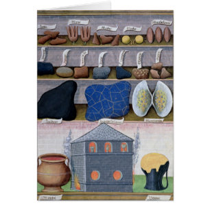 Ilustracion del "libro de las medicinas simples" 2