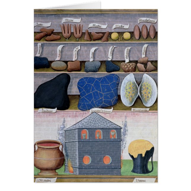 Ilustracion del "Libro de Medicinas Simples" 2 (Frente)