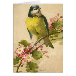 Ilustracion del pájaro del Victorian
