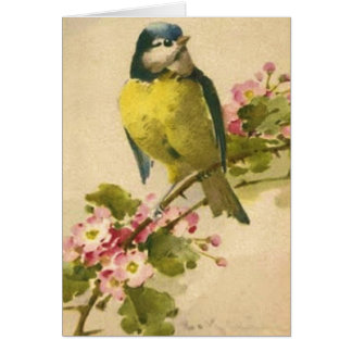 Ilustracion del pájaro del Victorian